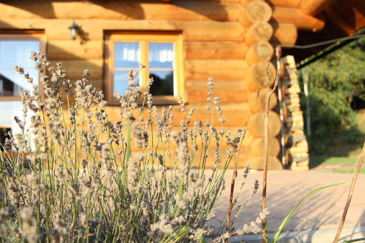 Вилла Ranch Bystra Bystra nad Jizerou Экстерьер фото